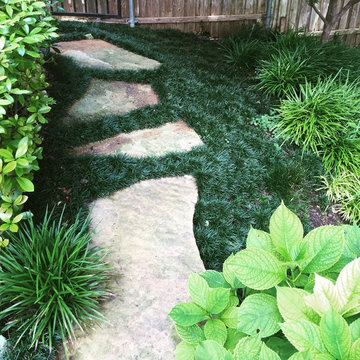 Natural landscapes