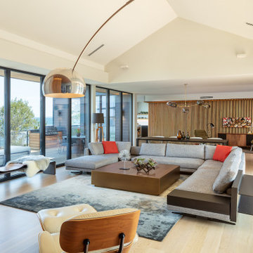 Modern Living Room with Cathedralized Ceilings