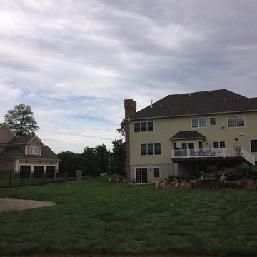 Warren back yard