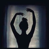 Foto von موفى موفى