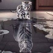 Michelle Stefanec's photo