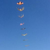 Eve Line's photo
