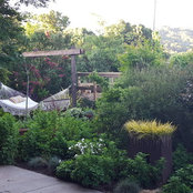 Notable Gardens's photo
