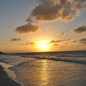 Jennifer Nowlan's photo
