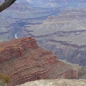 Kristin Ward's photo
