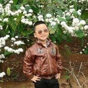 Chinh Đoàn's photo