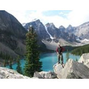 Steve Millers billede