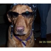 Foto de Rock Hound
