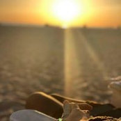 Marta Barbosa's photo