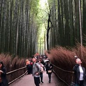 James Dumapit's photo