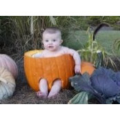 Laura Flanagan's photo