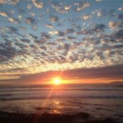 Nancy Sherer's photo