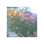 Marsha Ditmer's photo