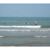 Lois Despins's photo