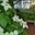 NorthWind Tree & Landscape