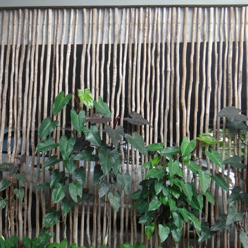 Architecte Paysagiste Antibes Tropical details favorites