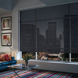Transitional Black Living Room Custom Window Roller Shades by Hunter Douglas - Roller Shades