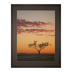 Sunset Sentinel, Maitland Hunter Valley Australia - Limited Edition Fine Art Pri - Fine Art Prints