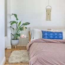 Plants In Rooms