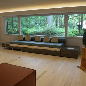 Modern Whole House Remodel