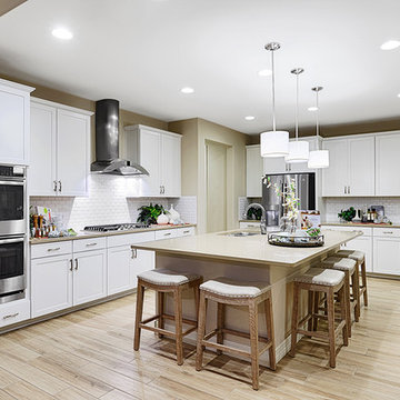Coronado model home in Arizona