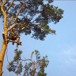 Tree Removal - Outdoor Products