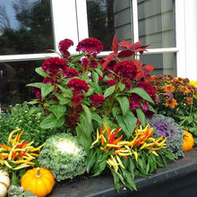 Planters