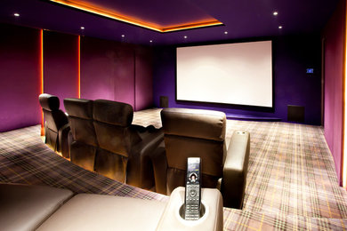 Photo of a large contemporary home cinema in Other.
