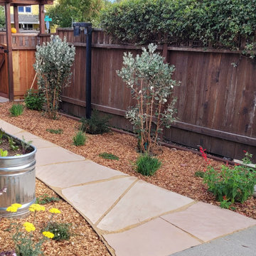 Westside Santa Cruz Sustainable Front Yard