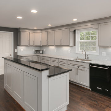 Herndon Main Level Renovation
