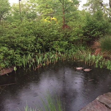 Jaliya's Memorial Garden