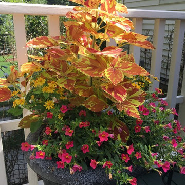 Planters