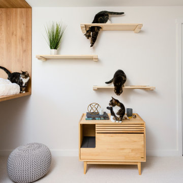 The Cat Lounge