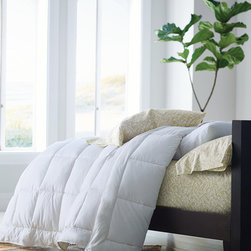 PrimaLoft&reg; Deluxe Comforter - Products