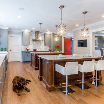 Whole Home Renovation - Newton, MA