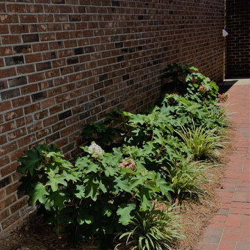 Andrews Landscape