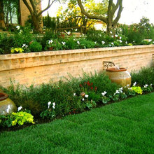 Back Patio