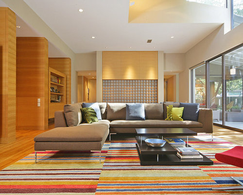 Split-Level Living Room Ideas & Photos | Houzz