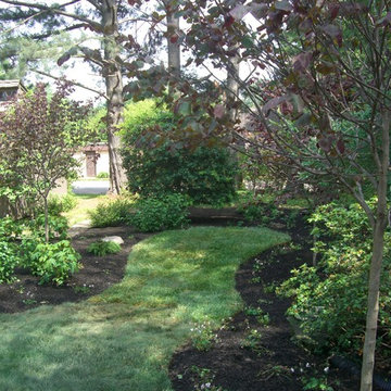 Woodland garden upgrade