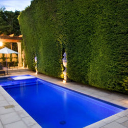 Pool Cleaning Service - Products