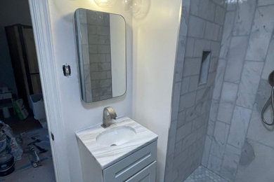 Inspiration for a bathroom remodel in DC Metro