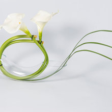 Déco fleurs