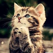 Violeta Ortega's photo