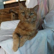 Dawn Thompson-Ward's photo
