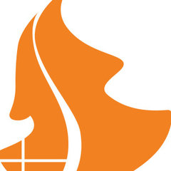 Spruce Wood Ltd