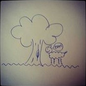 Tri Lam's photo