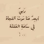 Lina Mostafa's photo
