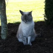 Lynn Blascak's photo
