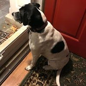 Sarah Irvine Belson's photo