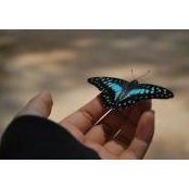 Tram Hoang's photo